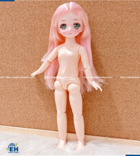 BJD Doll 2023 30CM