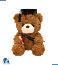 SMALL GRADUATION PLUSH BEAR