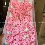 Hoa Sáp Mai Anh Đào: Quà Tặng Sang Trọng và Ý Nghĩa