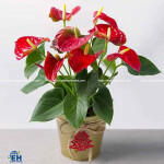 Silk Anthurium Leaf