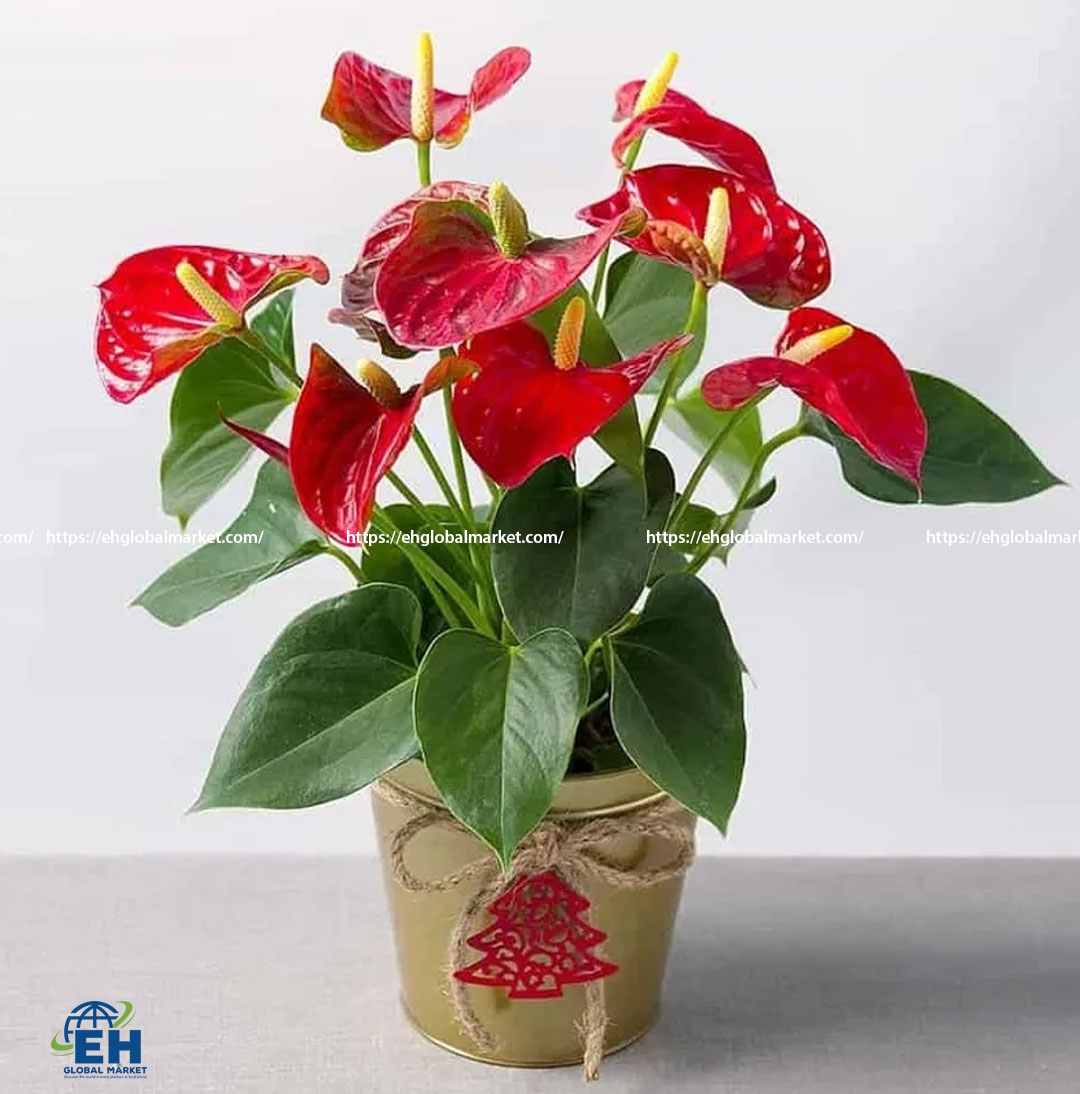 Silk Anthurium Leaf
