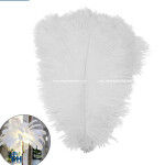 LÔNG VŨ THẬT 100% TRẮNG SIZE NHỎ
