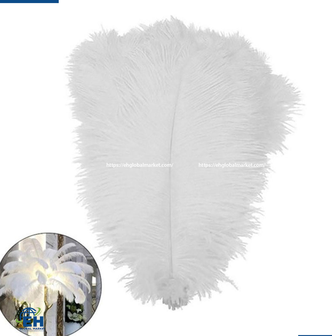 LÔNG VŨ THẬT 100% TRẮNG SIZE NHỎ