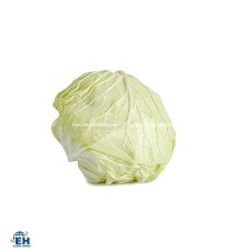 WHITE CABBAGE