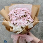 Hoa sáp cẩm tú cầu